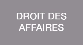 Droit des Affaires