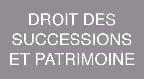 Droit des Successions et patrimoine